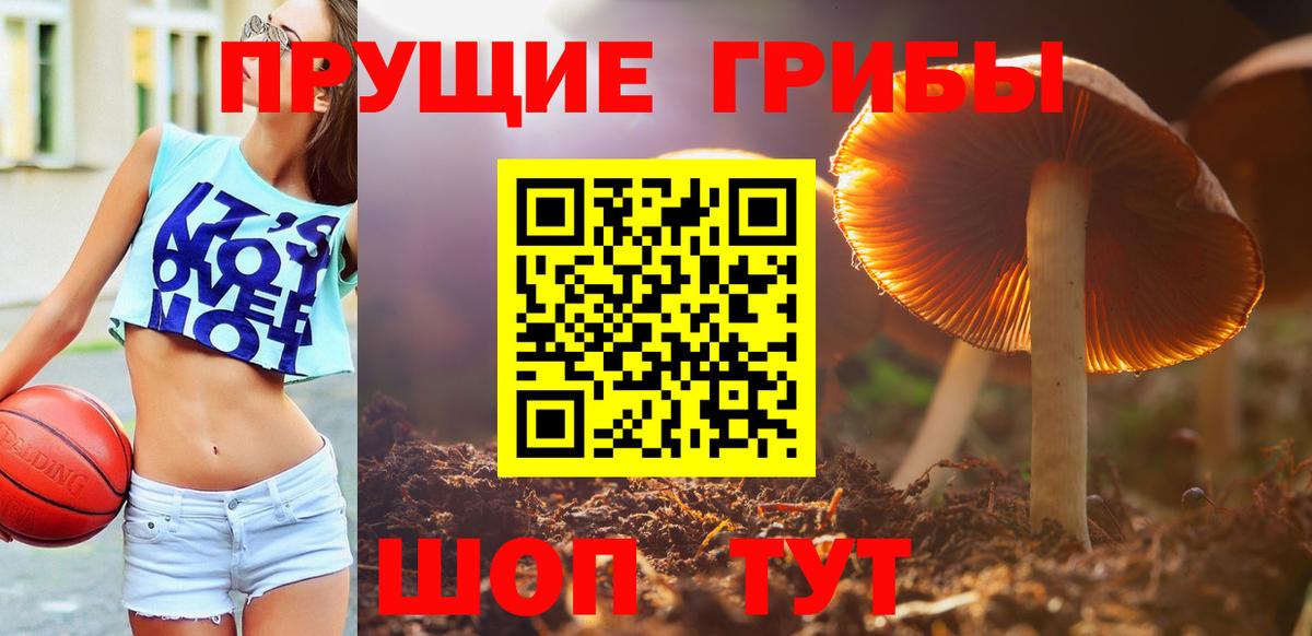 Псилоцибиновые грибы мухоморы Арзамас